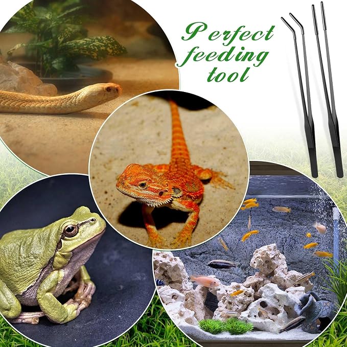 Lasnten 2 Pcs Extra Long Stainless Steel Reptile Feeding Tongs - Image 7
