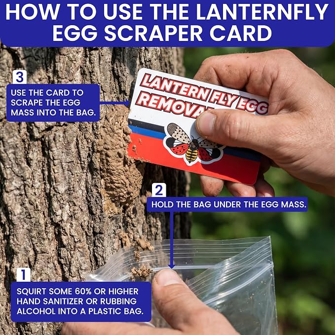 Spotted Lantern Fly Trap for Trees. 3 Sticky Fly Paper Rolls - Image 6