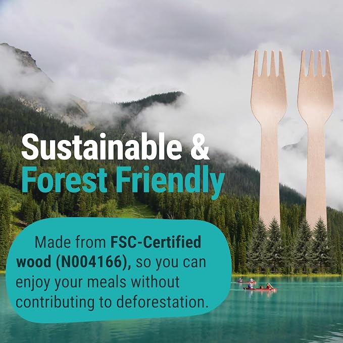 Disposable Wooden Forks For Eating - Image 6