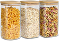 ComSaf Airtight Glass Storage Canister by ComSaf