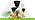 3 Sizes of Kitchen Funnel Set, Food Grade Funnels for Filling Bottles