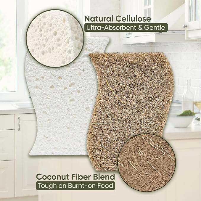 Plant-Based Kitchen Sponges | USDA Biobased Certified | FSC & PETA Approved | - Image 3