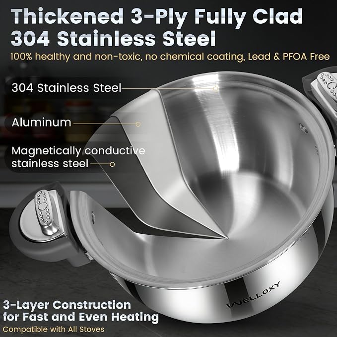 WELLOXY Stainless Steel Pot - Image 5