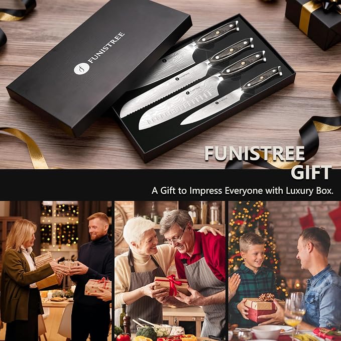 4 Pieces Professional Kitchen Knife Set, Damascus German Stainless Steel Chef - Image 6