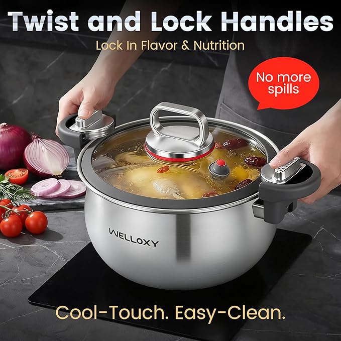 WELLOXY Stainless Steel Pot - Image 2