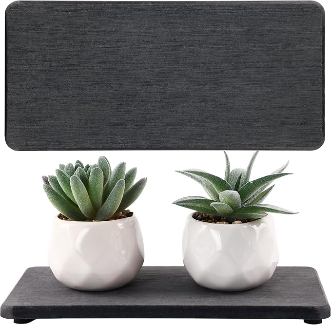 NiuYichee 2 Pcs Water Absorbing Stone Trays, Kitchen/Bathroom Sink Soap Dish by NiuYichee