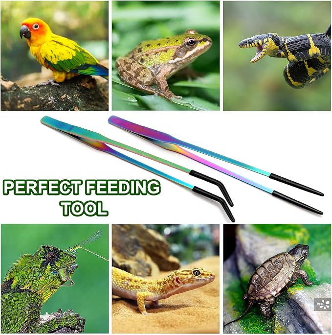 OLIISS Stainless Steel Reptile Feeding Tongs - Image 7