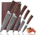 Wakoli EDIB 5-Piece Damascus Knife Set, Professional Kitchen Knives made of by Wakoli