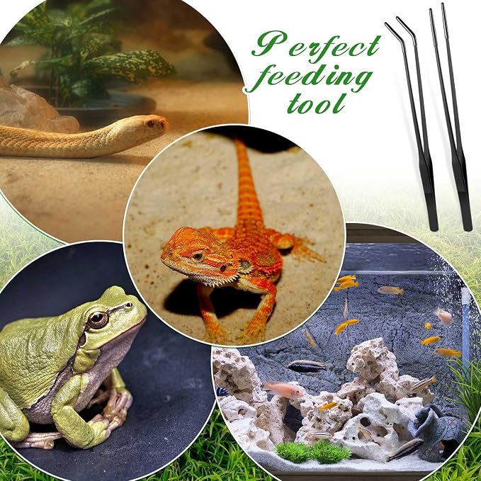 Lasnten 2 Pcs Extra Long Stainless Steel Reptile Feeding Tongs - Image 7