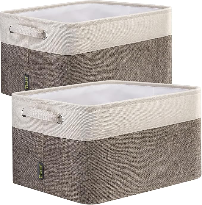 BALEINE 2 Pack Fabric Closet Storage Bins by BALEINE