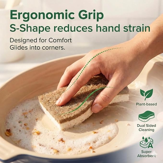 12 Pack Natural Kitchen Sponges, Compostable White Cellulose & Organic Coconut - Image 2
