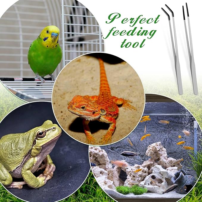 Lasnten 2 Pcs Extra Long Stainless Steel Reptile Feeding Tongs - Image 6