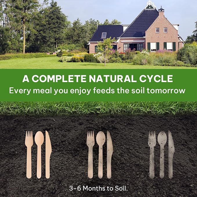 Disposable Wooden Utensils Set, Compostable Utensils, Disposable Cutlery - Image 8
