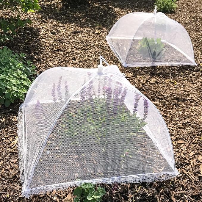 Simply Genius Pop-Up Mesh Food Covers - Image 8