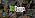 Taylor TruTemp Dual Infrared Meat Thermometer, Green